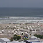 Grifone Rimini