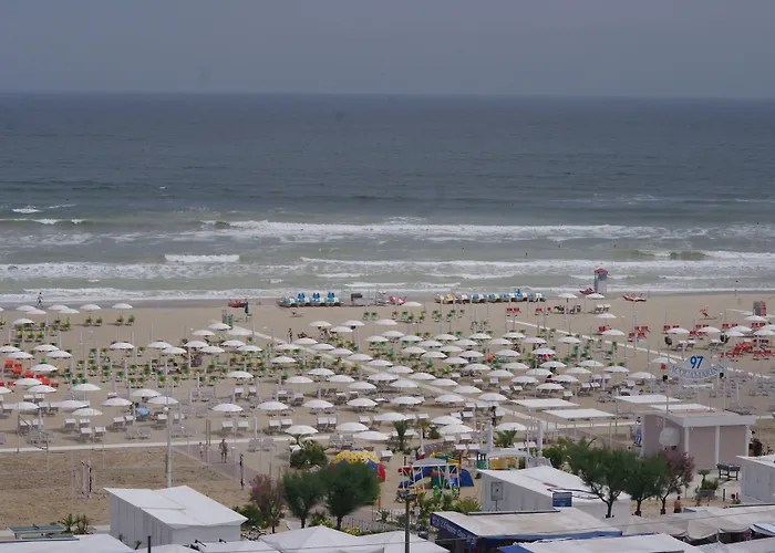 Grifone Hotel Rimini