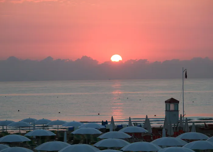 Grifone Hotel Rimini