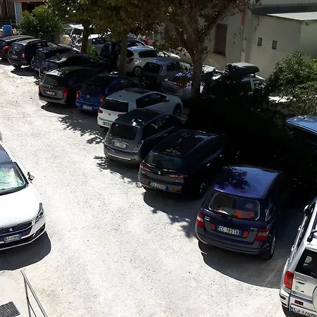Grifone Rimini
